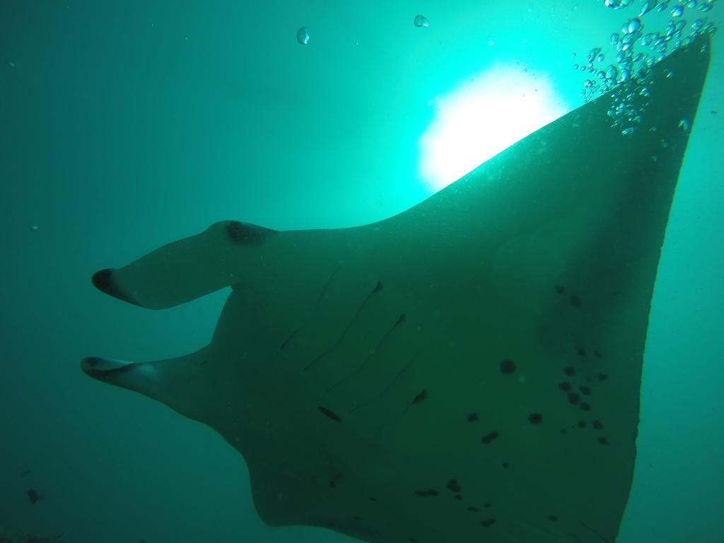 Rasdhoo Coralville Eksteriør billede